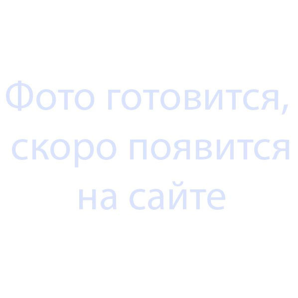 Шестерня для блинного аппарата РК-2.1 универсального типа  фото 1