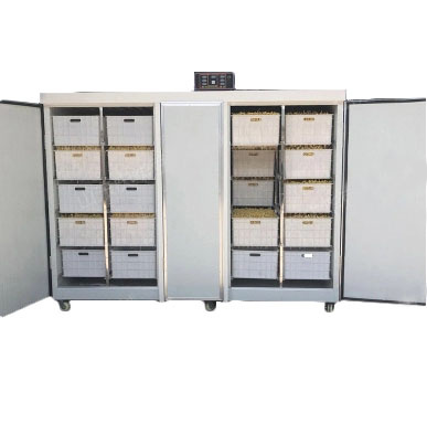 Проращиватель семян, бобов, злаков BSC-600A Foodatlas фото 1