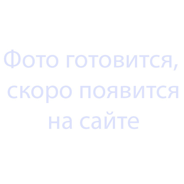 Шезлонг E1026 фото 8